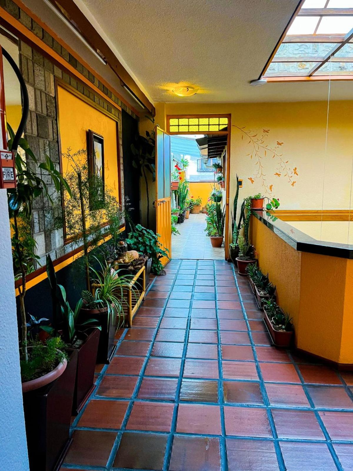 Hotel Rodelu ลาตาคุงกา ภายนอก รูปภาพ